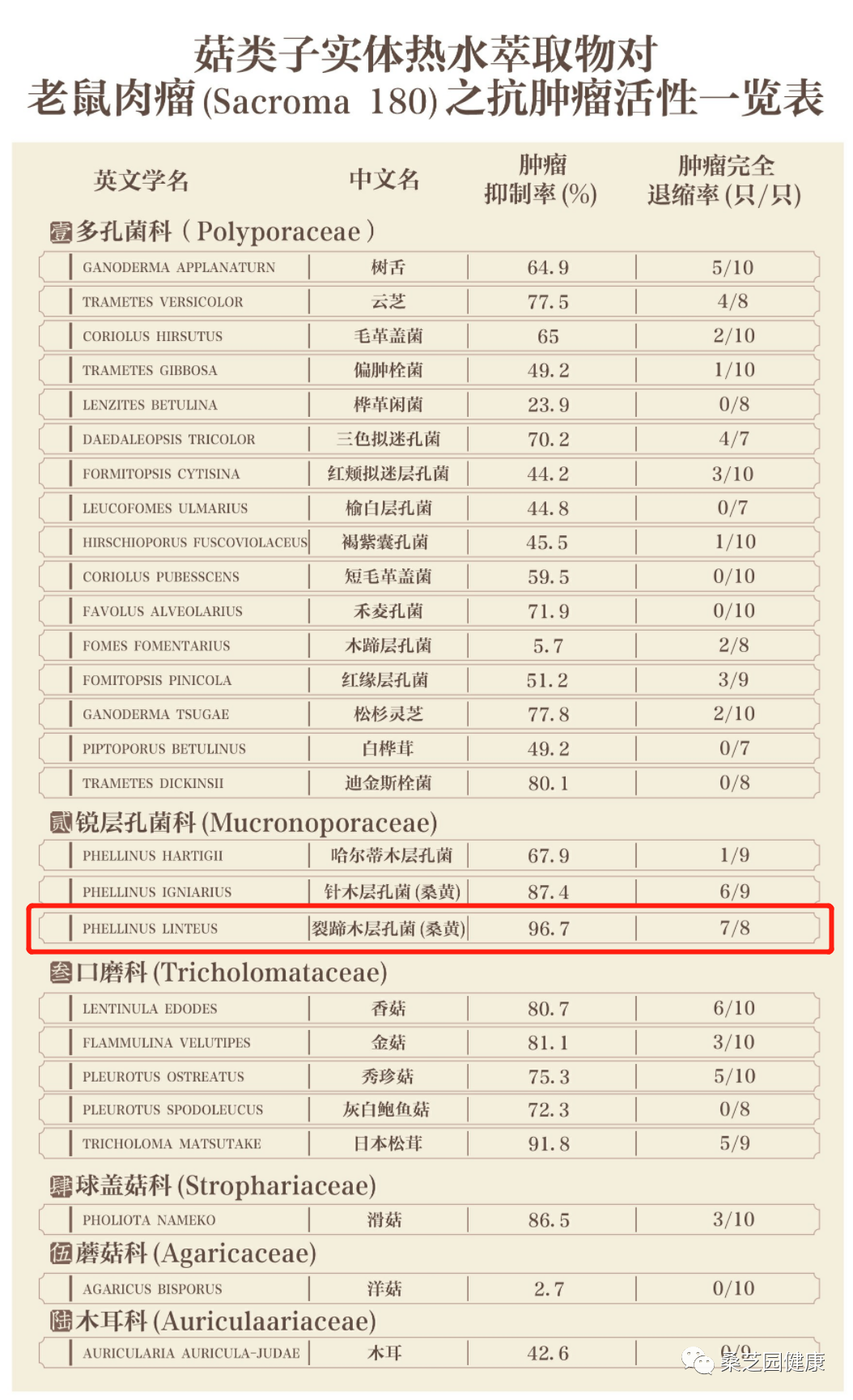 坚持喝桑黄的人都怎么样了？(图2)