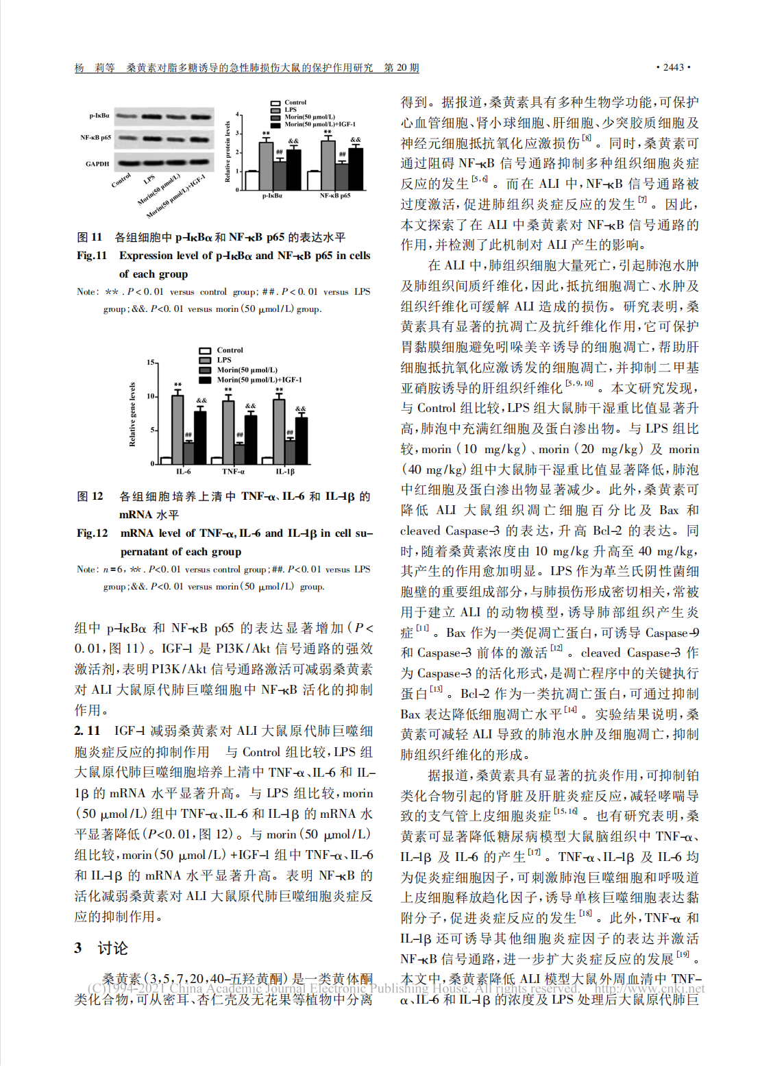 桑黄素对脂多糖诱导的急性肺损伤大鼠的保护作用研究(图6)