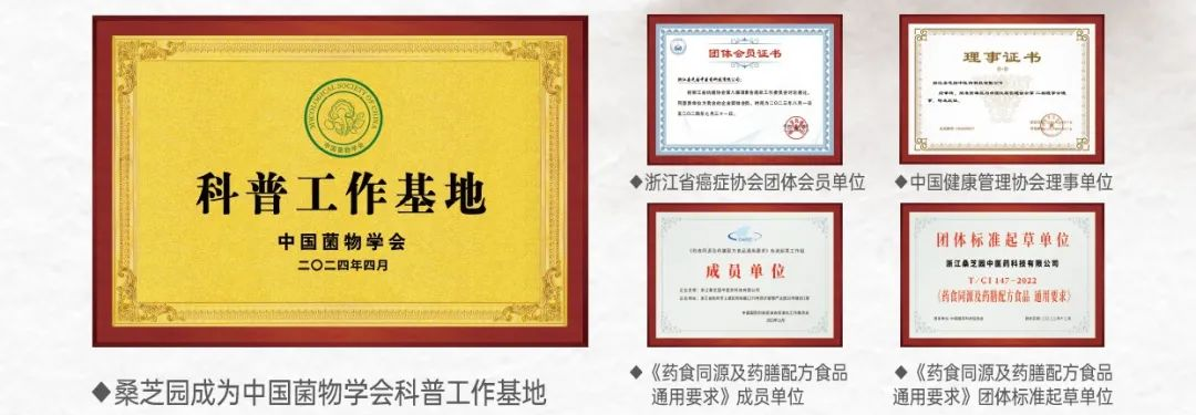 传承中医文化关爱生命健康—桑芝园桑黄行业领航者(图3)