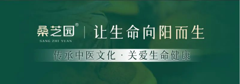 论文解读桑黄“抗肿瘤”作用机制解析(图1) 论文解读桑黄“抗肿瘤”作用机制解析(图1)