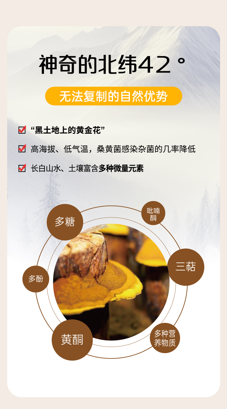 桑黄原浆(图8)