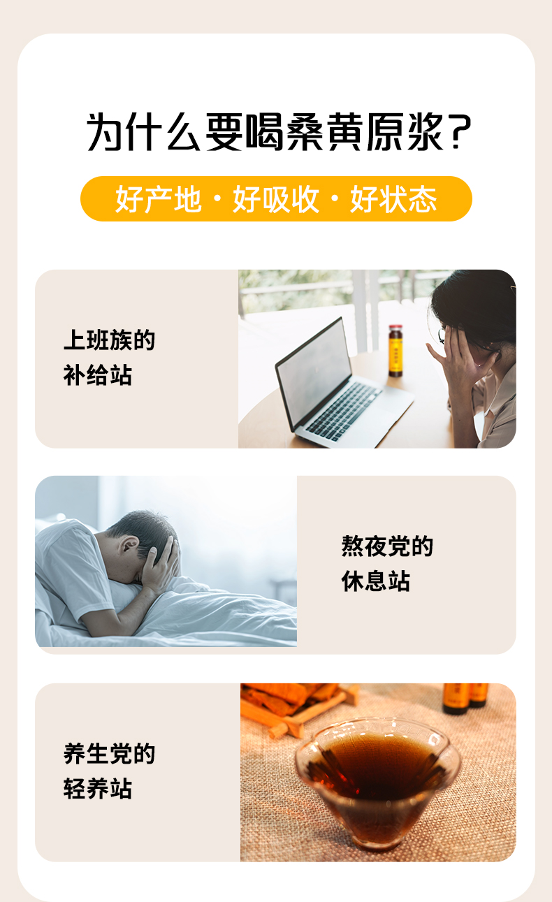 桑黄原浆(图6)