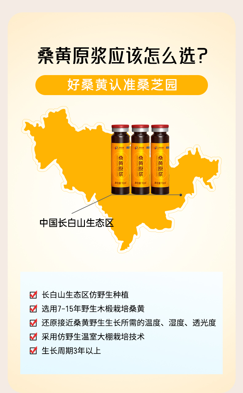 桑黄原浆(图7)