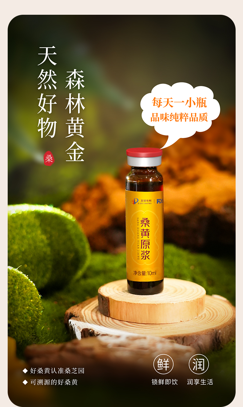 桑黄原浆(图4)