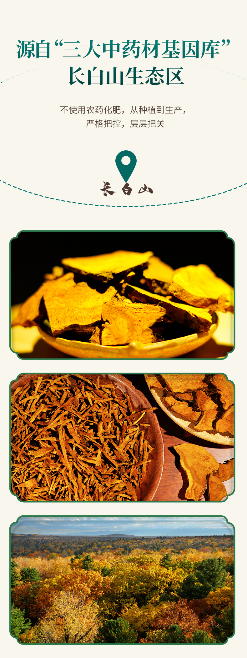 桑黄黑参茶(图5)