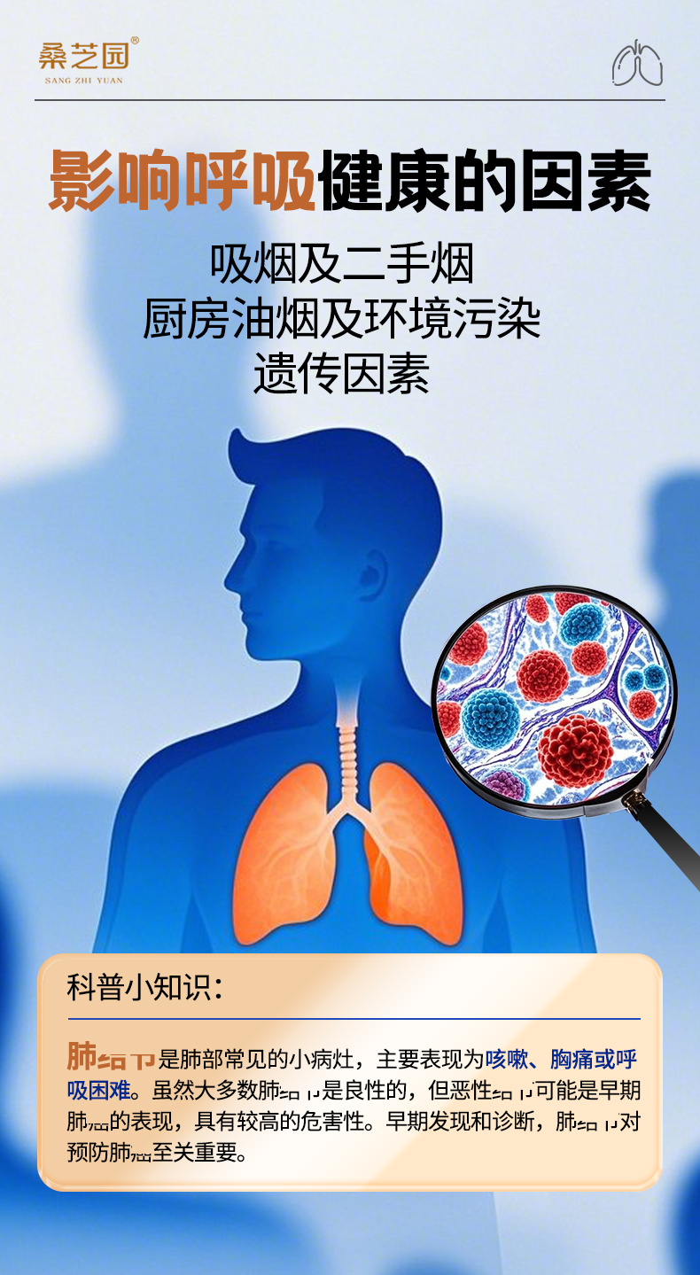 桑黄复合粉(图3)