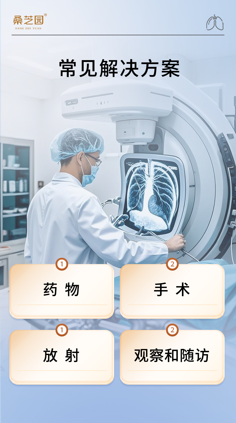 桑黄复合粉(图4)