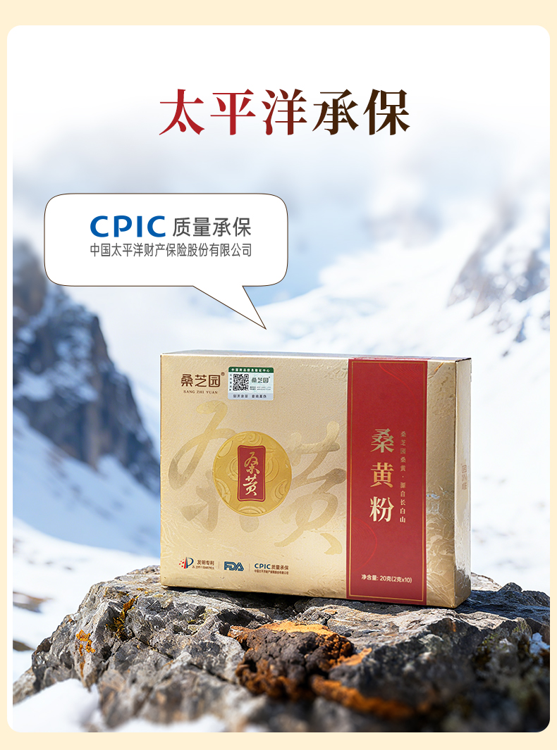 桑黄粉(图8)