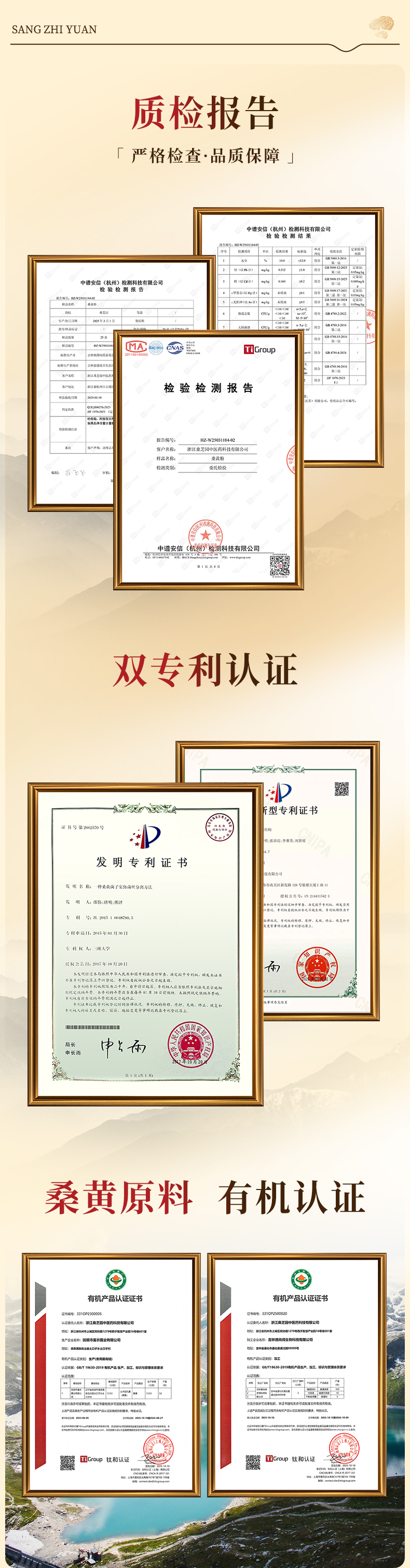 桑黄粉(图7)