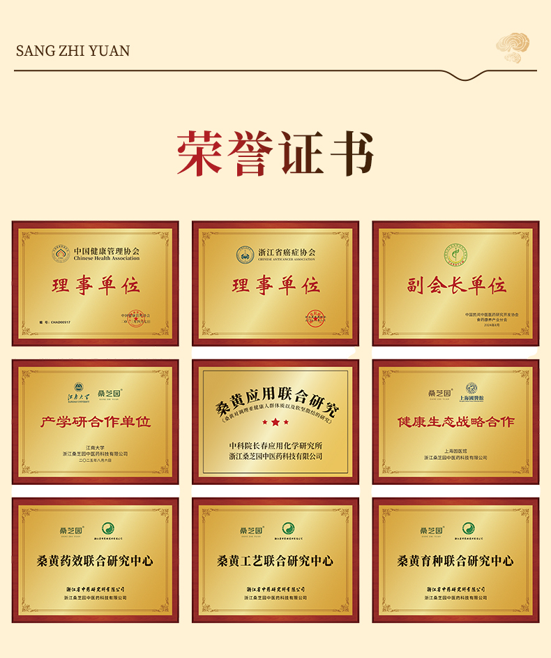 桑黄粉(图12)