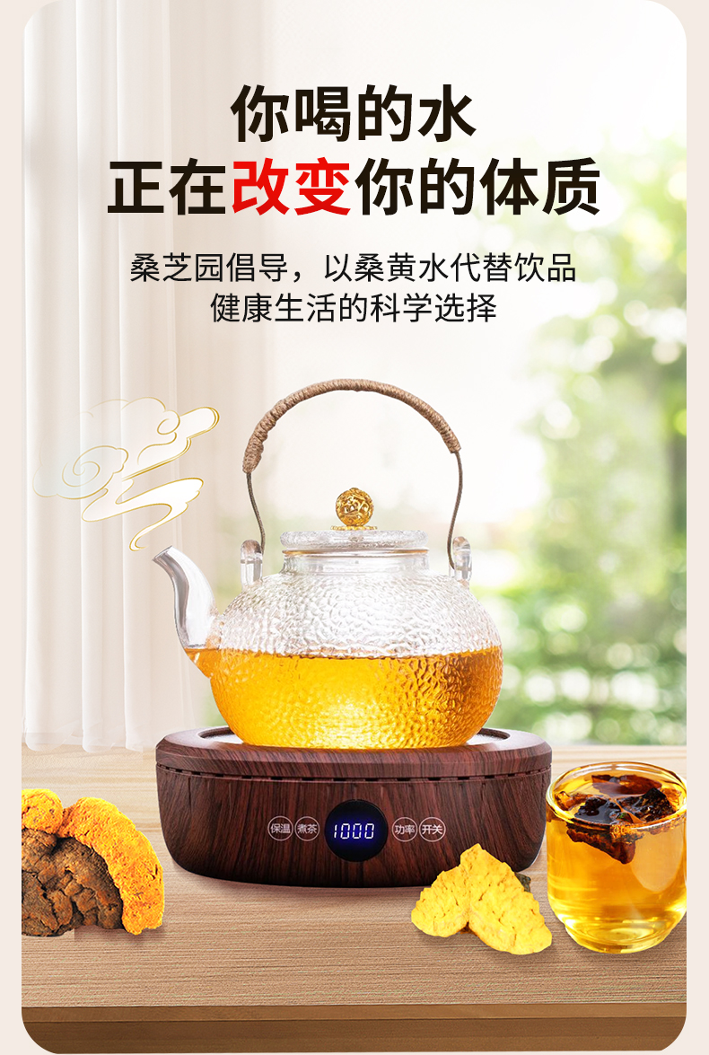 桑黄代用茶(图5)