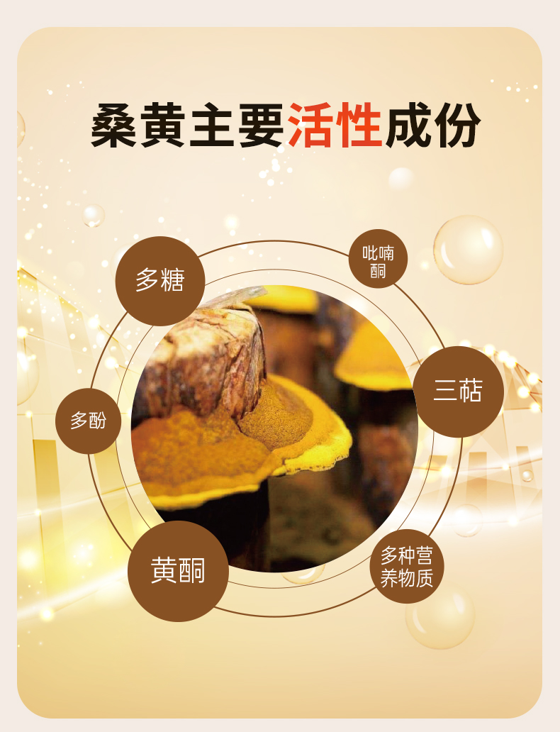 桑黄代用茶(图7)