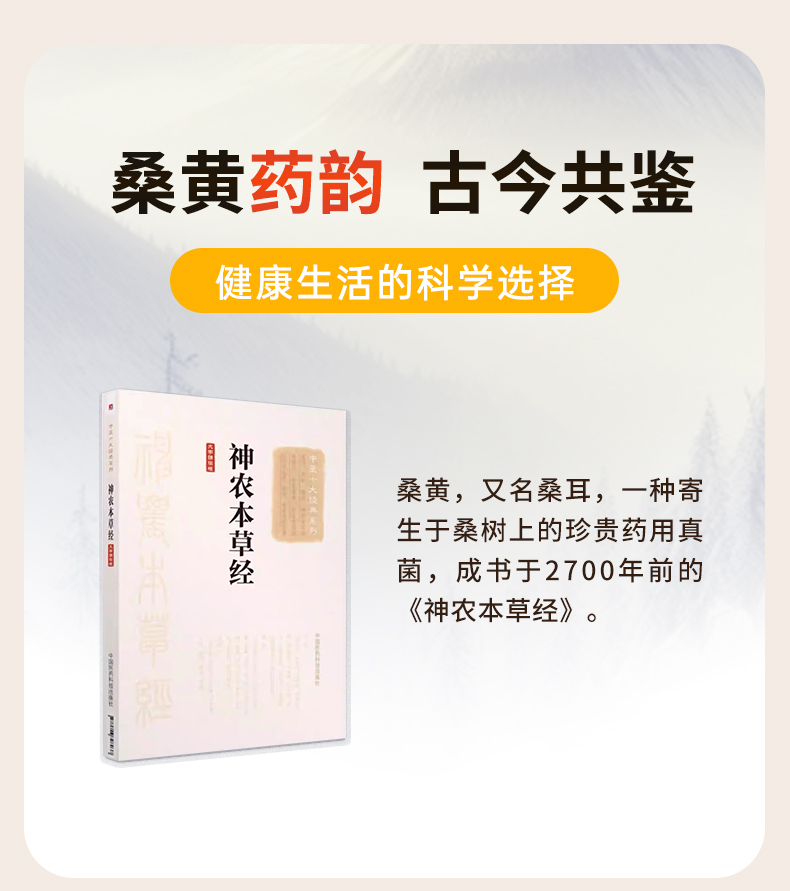 桑黄代用茶(图6)