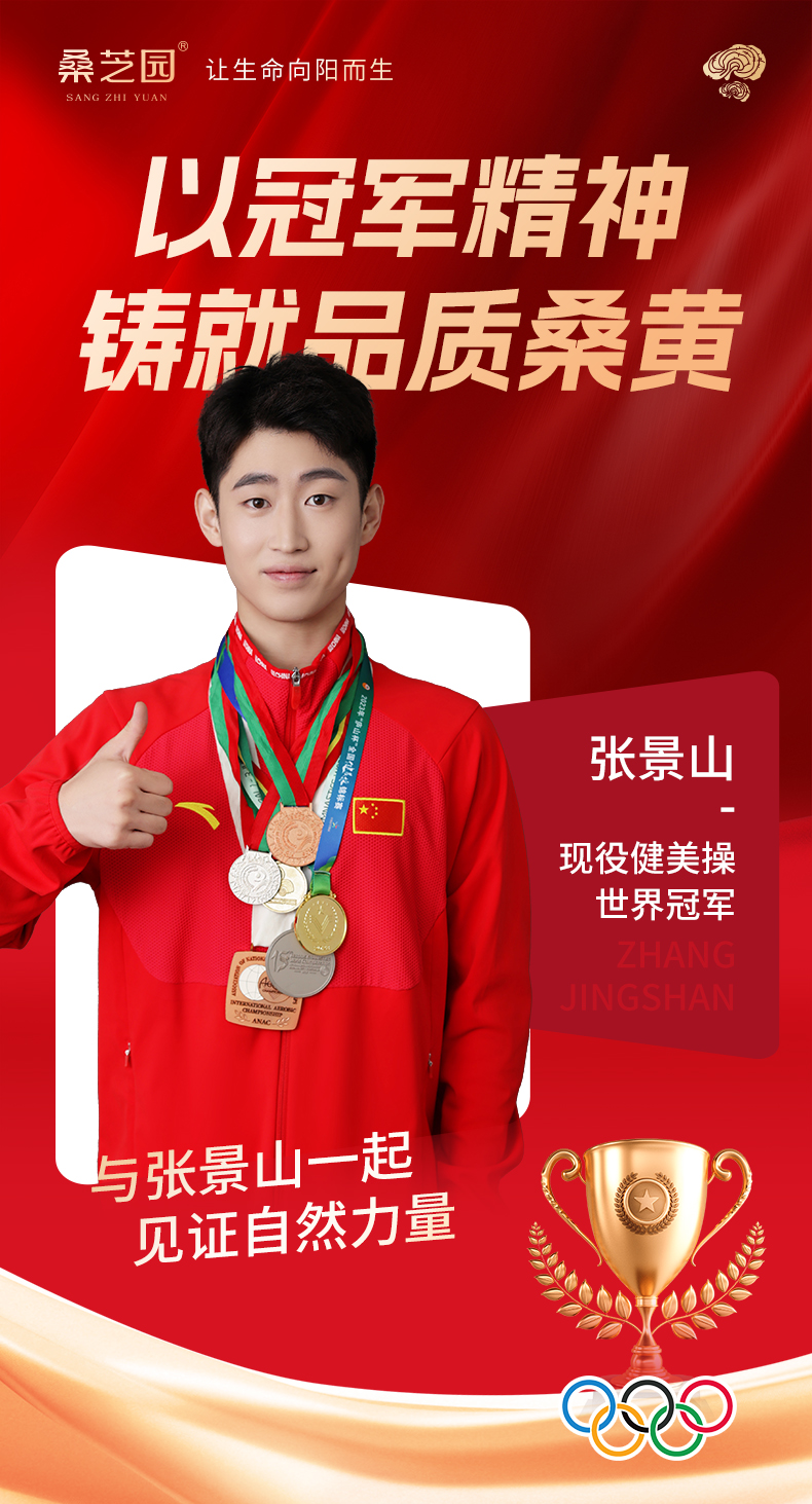 桑黄代用茶(图1)